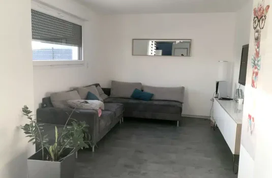 extension_salon
